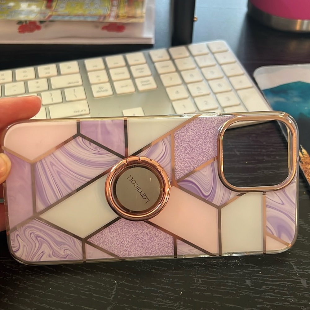 iPhone 13 Pro Max case